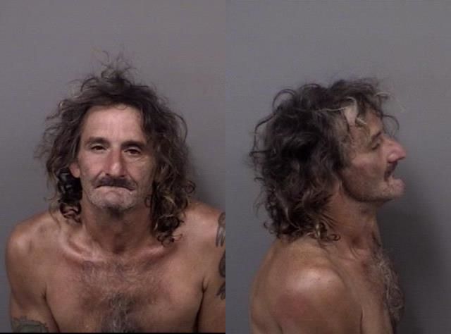 Michael Carver arrested June 17 on a misdemeanor charge of domestic battery.